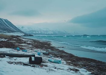 Arktis susiduria su milziniskos tarsos problema per kelis metus surinkta daugiau nei 45 000 kg siuksliu