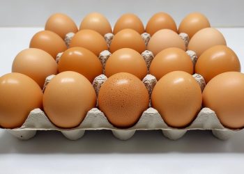 Pasterizuoti kiausiniai viskas ka turite zinoti